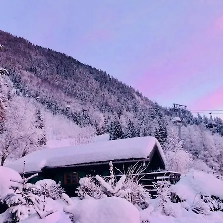 Chalet Chemin De La Pierre A Ruskin * 샤모니