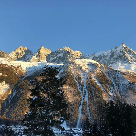 Chalet Chemin De La Pierre A Ruskin 샤모니