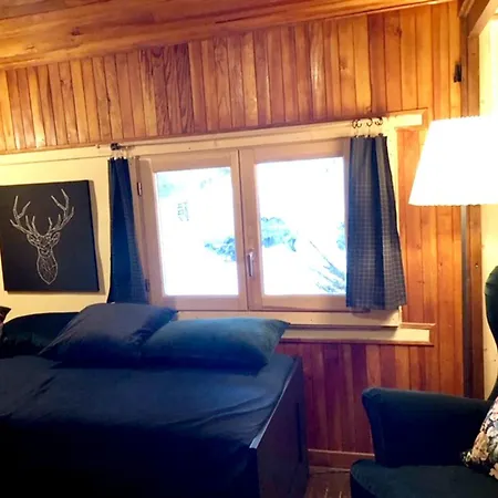 Chalet Chemin De La Pierre A Ruskin * 샤모니